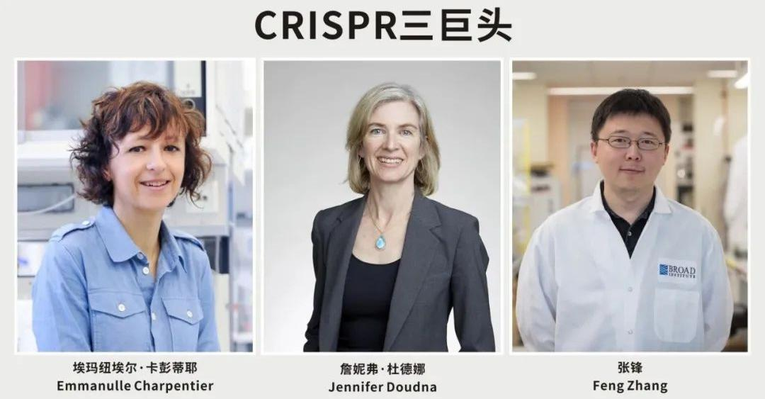 中國科學(xué)家張峰專利勝訴諾貝爾化學(xué)獎(jiǎng)得主，看基因編輯的專利布局
