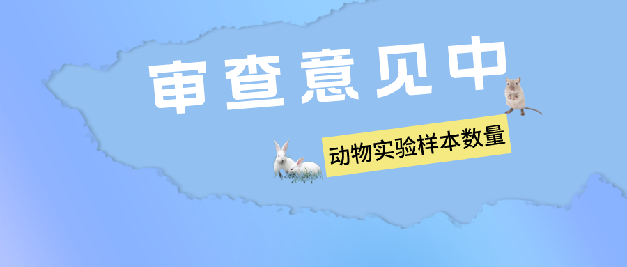 鼠鼠我呀，在專利實驗中多少只才算足夠？